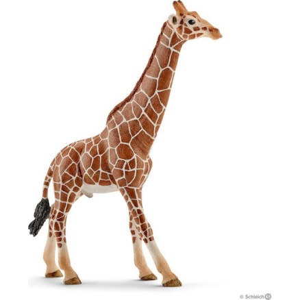 Schleich-S Παιχνίδι Μινιατούρα Wild Life Giraffe Male για 3+ Ετών 17εκ.