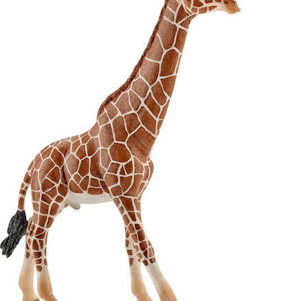 Schleich-S Παιχνίδι Μινιατούρα Wild Life Giraffe Male για 3+ Ετών 17εκ.