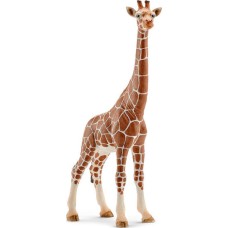 Schleich-S Παιχνίδι Μινιατούρα Wild Life Giraffe Male για 3+ Ετών 17εκ.