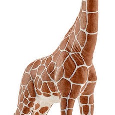 Schleich-S Παιχνίδι Μινιατούρα Wild Life Giraffe Male για 3+ Ετών 17εκ.