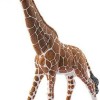 Schleich-S Παιχνίδι Μινιατούρα Wild Life Giraffe Male για 3+ Ετών 17εκ.