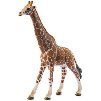 Schleich-S Παιχνίδι Μινιατούρα Wild Life Giraffe Male για 3+ Ετών 17εκ.