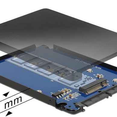 DeLock Converter SATA 22pin to M.2 with Enclosure