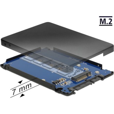 DeLock Converter SATA 22pin to M.2 with Enclosure