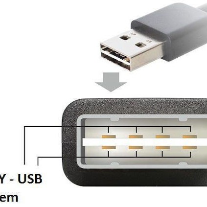 DeLock USB 2.0 Cable USB-A male - USB-B male 2m (83359)