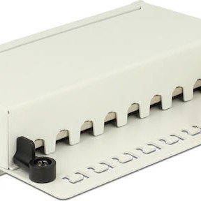 DeLock Patch Panel 8 P Cat.6A Λευκό
