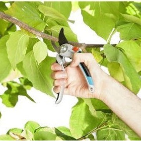 Gardena Comfort Ψαλίδι Κλαδέματος Μήκους 26.8cm με Μέγιστη Διάμετρο Κοπής 25mm