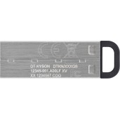 Kingston DataTraveler Kyson 128GB USB 3.2 Stick Ασημί