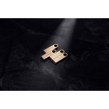 Kingston Datatraveler Se9 G3 256GB USB 3.2 Stick Χρυσό