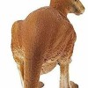 Schleich-S Παιχνίδι Μινιατούρα Wild Life Kangaroo για 3+ Ετών