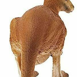 Schleich-S Παιχνίδι Μινιατούρα Wild Life Kangaroo για 3+ Ετών
