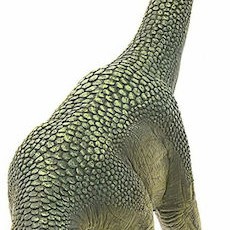 Schleich-S Dinosaurs Brachiosaurus 30εκ. (Διάφορα Σχέδια) 1τμχ