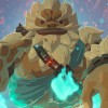 The Legend Of Zelda Breath Of The Wild Switch Game