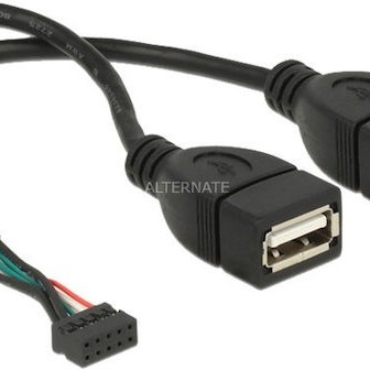 DeLock Pinheader 2 x USB A Female 0.2m
