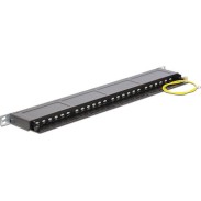 DeLock Patch Panel 24 Port Cat.6 0.5 U Μαύρο