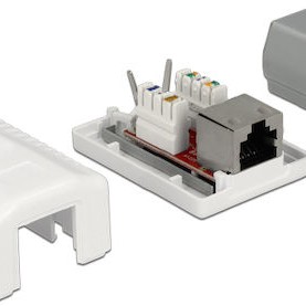 DeLock Εξωτερική Μονή Πρίζα Δικτύου RJ45 σε Λευκό Χρώμα 86196