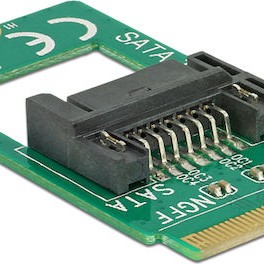 DeLock Adapter M.2 Key B male to SATA 7pin 2242