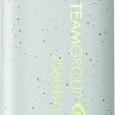 TeamGroup C175 Eco 256GB USB 3.2 Stick Πράσινο