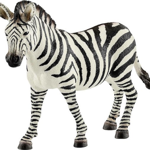 Schleich-S Παιχνίδι Μινιατούρα Wild Life Zebra Mare για 3+ Ετών 8.5εκ.