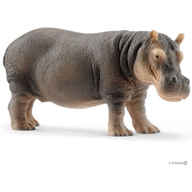 Schleich-S Παιχνίδι Μινιατούρα Wild Life Hippopotamus για 3+ Ετών