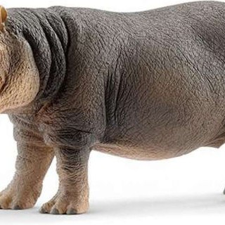 Schleich-S Παιχνίδι Μινιατούρα Wild Life Hippopotamus για 3+ Ετών