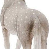 Schleich-S Παιχνίδι Μινιατούρα Horse Club Holsteiner Gelding για 3+ Ετών