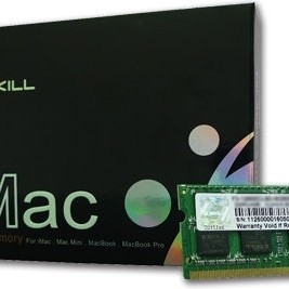 G.Skill Ripjaws DDR3 με Module 1x4GB και Ταχύτητα 1066 για Laptop