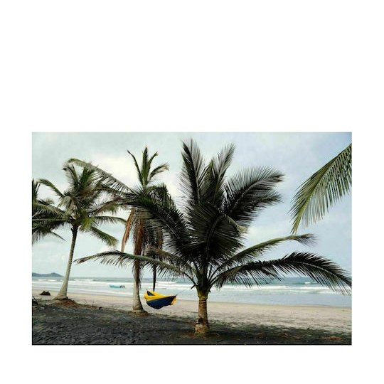 Amazonas Adventure XXL Nemo Αιώρα Αλεξίπτωτο Διπλή Υφασμάτινη Μπλε 320x230εκ.