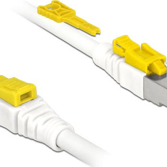 DeLock S/FTP Cat.6a Καλώδιο Δικτύου Ethernet 5m Λευκό