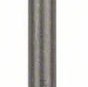 Bosch 2608690146 Καλέμι με Υποδοχή SDS Plus 40x250mm