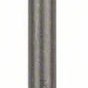 Bosch 2608690146 Καλέμι με Υποδοχή SDS Plus 40x250mm