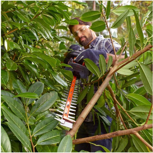 Black & Decker BEHTS451 Ηλεκτρικό Μπορντουροψάλιδο 550W με Μήκος Λάμας 60cm