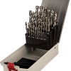 Bosch HSS-G Σετ 25 Τρυπάνια με Κυλινδρικό Στέλεχος για Μέταλλο