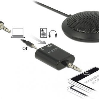 DeLock 65873 Πυκνωτικό Μικρόφωνο 3.5mm Επιτραπέζιο για Φωνητικά