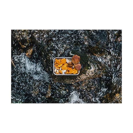 Sigg Box Plus Δοχείο Φαγητού Inox Silver 900ml