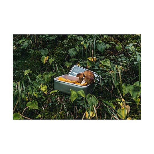 Sigg Box Plus Δοχείο Φαγητού Inox Silver 900ml