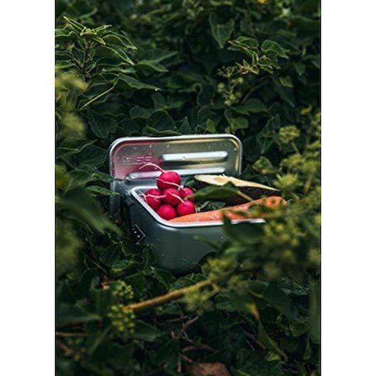 Sigg Box Plus Δοχείο Φαγητού Inox Silver 900ml