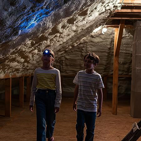 Klein Bosch Head Lamp