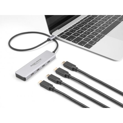 DeLock USB 3.0 Hub 4 Θυρών με σύνδεση USB-C Γκρι