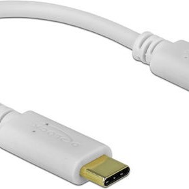 DeLock USB 2.0 Cable USB-C male - USB-C 100W Λευκό 0.15m (85357)