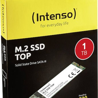 Intenso Top SSD 1TB M.2 SATA III