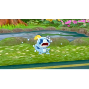 Pokemon Sword Switch Game