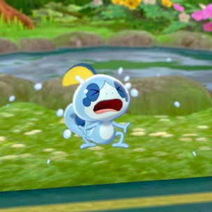 Pokemon Shield Switch Game