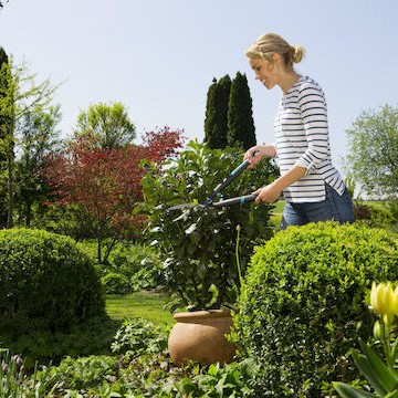 Gardena Easycut 537 12301-20 Ψαλίδι Μπορντούρας / Χλόης Θάμνου