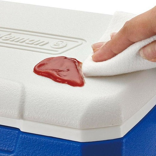 Coleman 5 QT Peformance 6 Personal Cooler Φορητό Ψυγείο 4lt Μπλε