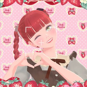 Fashion Dreamer Switch Game