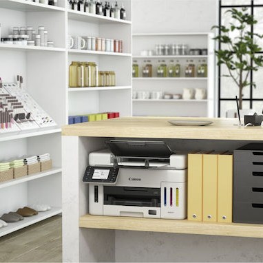 Canon Maxify GX6050 Έγχρωμο Πολυμηχάνημα Inkjet με WiFi και Mobile Print 6351C006