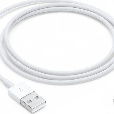 Apple USB-A to Lightning Cable Λευκό 1m (MXLY2ZM/A)