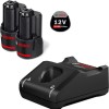 Bosch Σετ 2 Μπαταριών Εργαλείου Λιθίου 12V Χωρητικότητας 2Ah με Φορτιστή GAL 12V-40