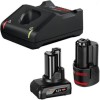 Bosch Σετ 2 Μπαταριών Εργαλείου Λιθίου 12V Χωρητικότητας 2Ah με Φορτιστή GAL 12V-40